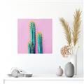Picture of Neon Cactus _GroupedProduct_Square_Photography _GroupedProduct_Square_Unframed_Print_Only_
