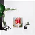 Picture of Lollipop Lips _GroupedProduct_Square_Unframed_Print_Only_
