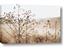 Picture of Neutral Grasses