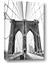 Picture of Brooklyn Bridge BW