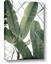 Picture of Banana Plant