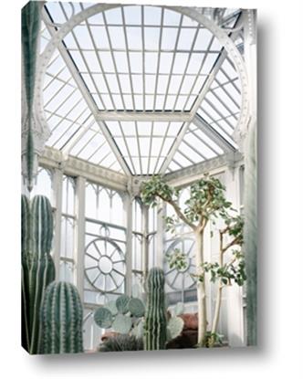 Picture of Tropical Greenhouse lll