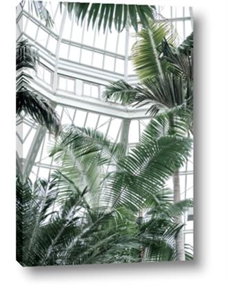 Picture of Tropical Greenhouse ll