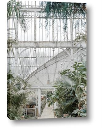 Picture of Greenhouse IV