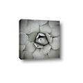Picture of Eye of the Succulent _GroupedProduct_Square_Photography _GroupedProduct_Square_Canvas_