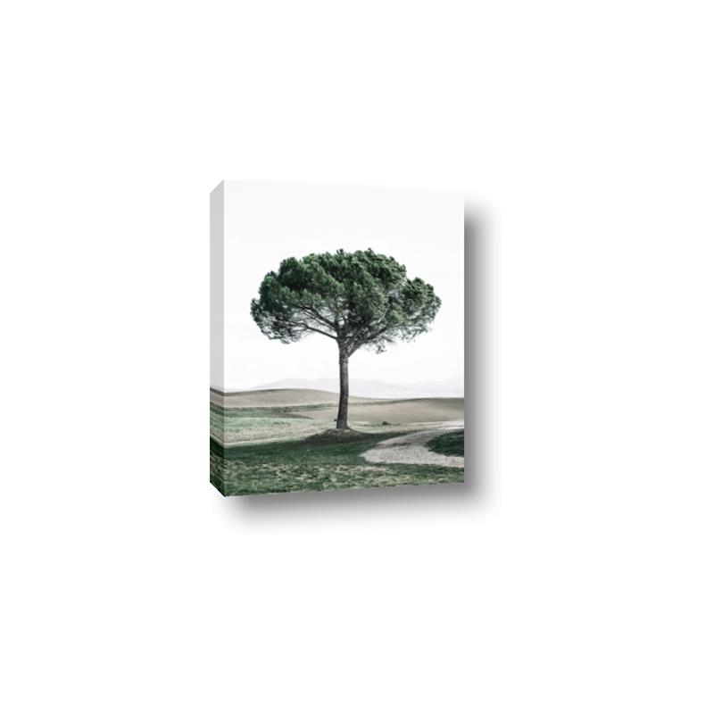 Picture of The Only Tree _GroupedProduct_Rectangle_Portrait_Photography _GroupedProduct_Rectangle_Portrait_Canvas_