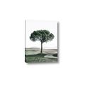 Picture of The Only Tree _GroupedProduct_Rectangle_Portrait_Photography _GroupedProduct_Rectangle_Portrait_Canvas_