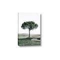 Picture of The Only Tree _GroupedProduct_Rectangle_Portrait_Photography _GroupedProduct_Rectangle_Portrait_Canvas_