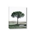 Picture of The Only Tree _GroupedProduct_Rectangle_Portrait_Photography _GroupedProduct_Rectangle_Portrait_Canvas_