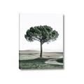 Picture of The Only Tree _GroupedProduct_Rectangle_Portrait_Photography _GroupedProduct_Rectangle_Portrait_Canvas_