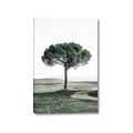 Picture of The Only Tree _GroupedProduct_Rectangle_Portrait_Photography _GroupedProduct_Rectangle_Portrait_Canvas_