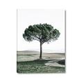 Picture of The Only Tree _GroupedProduct_Rectangle_Portrait_Photography _GroupedProduct_Rectangle_Portrait_Canvas_