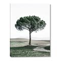 Picture of The Only Tree _GroupedProduct_Rectangle_Portrait_Photography _GroupedProduct_Rectangle_Portrait_Canvas_