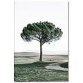 Picture of The Only Tree _GroupedProduct_Rectangle_Portrait_Photography _GroupedProduct_Rectangle_Portrait_Canvas_