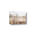 Picture of Neutral Grasses _GroupedProduct_Rectangle_Landscape_Photography _GroupedProduct_Rectangle_Landscape_Canvas_