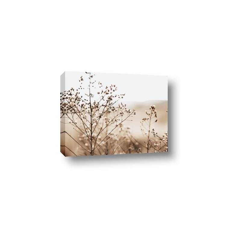 Picture of Neutral Grasses _GroupedProduct_Rectangle_Landscape_Photography _GroupedProduct_Rectangle_Landscape_Canvas_