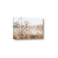 Picture of Neutral Grasses _GroupedProduct_Rectangle_Landscape_Photography _GroupedProduct_Rectangle_Landscape_Canvas_