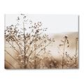 Picture of Neutral Grasses _GroupedProduct_Rectangle_Landscape_Photography _GroupedProduct_Rectangle_Landscape_Canvas_