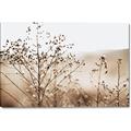 Picture of Neutral Grasses _GroupedProduct_Rectangle_Landscape_Photography _GroupedProduct_Rectangle_Landscape_Canvas_