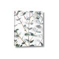Picture of Eucalyptus Vine _GroupedProduct_Rectangle_Portrait_Photography _GroupedProduct_Rectangle_Portrait_Canvas_