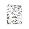 Picture of Eucalyptus Vine _GroupedProduct_Rectangle_Portrait_Photography _GroupedProduct_Rectangle_Portrait_Canvas_