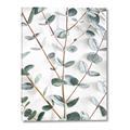 Picture of Eucalyptus Vine _GroupedProduct_Rectangle_Portrait_Photography _GroupedProduct_Rectangle_Portrait_Canvas_