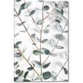 Picture of Eucalyptus Vine _GroupedProduct_Rectangle_Portrait_Photography _GroupedProduct_Rectangle_Portrait_Canvas_