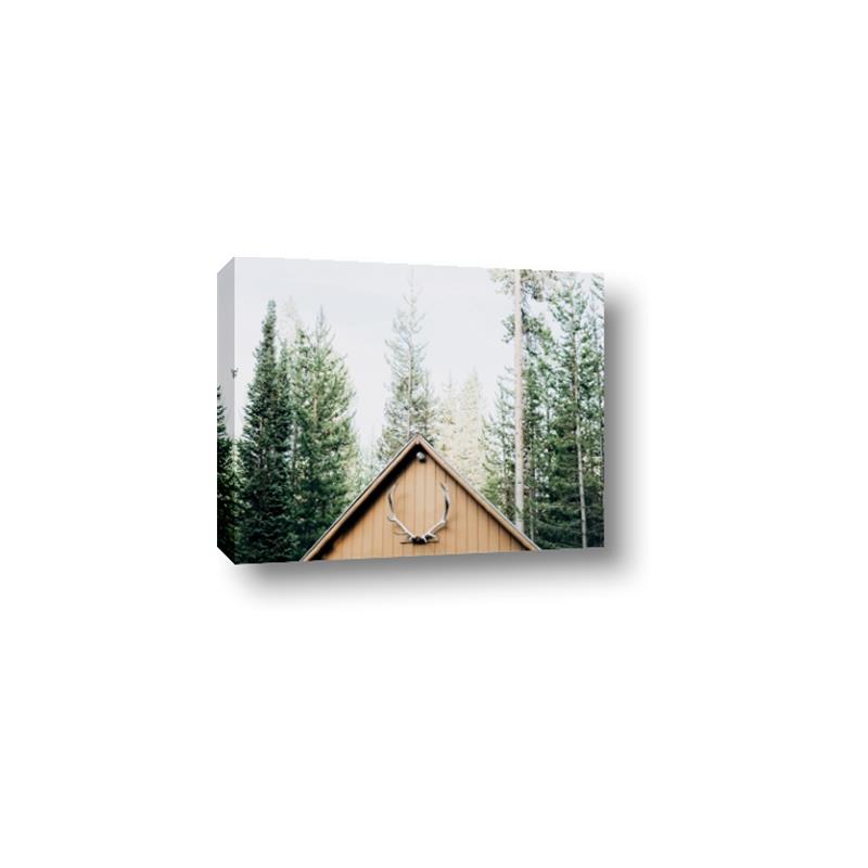 Picture of Forest Cabin _GroupedProduct_Rectangle_Landscape_Photography _GroupedProduct_Rectangle_Landscape_Canvas_