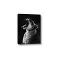 Picture of Yawning lion _GroupedProduct_Rectangle_Portrait_Photography _GroupedProduct_Rectangle_Portrait_Canvas_