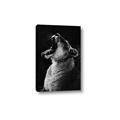 Picture of Yawning lion _GroupedProduct_Rectangle_Portrait_Photography _GroupedProduct_Rectangle_Portrait_Canvas_