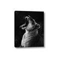 Picture of Yawning lion _GroupedProduct_Rectangle_Portrait_Photography _GroupedProduct_Rectangle_Portrait_Canvas_