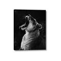 Picture of Yawning lion _GroupedProduct_Rectangle_Portrait_Photography _GroupedProduct_Rectangle_Portrait_Canvas_