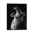 Picture of Yawning lion _GroupedProduct_Rectangle_Portrait_Photography _GroupedProduct_Rectangle_Portrait_Canvas_