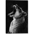 Picture of Yawning lion _GroupedProduct_Rectangle_Portrait_Photography _GroupedProduct_Rectangle_Portrait_Canvas_