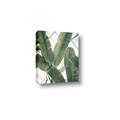 Picture of Banana Plant _GroupedProduct_Rectangle_Portrait_Photography _GroupedProduct_Rectangle_Portrait_Canvas_