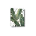 Picture of Banana Plant _GroupedProduct_Rectangle_Portrait_Photography _GroupedProduct_Rectangle_Portrait_Canvas_
