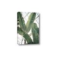Picture of Banana Plant _GroupedProduct_Rectangle_Portrait_Photography _GroupedProduct_Rectangle_Portrait_Canvas_