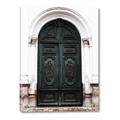 Picture of Green wooden door _GroupedProduct_Rectangle_Portrait_Photography _GroupedProduct_Rectangle_Portrait_Canvas_