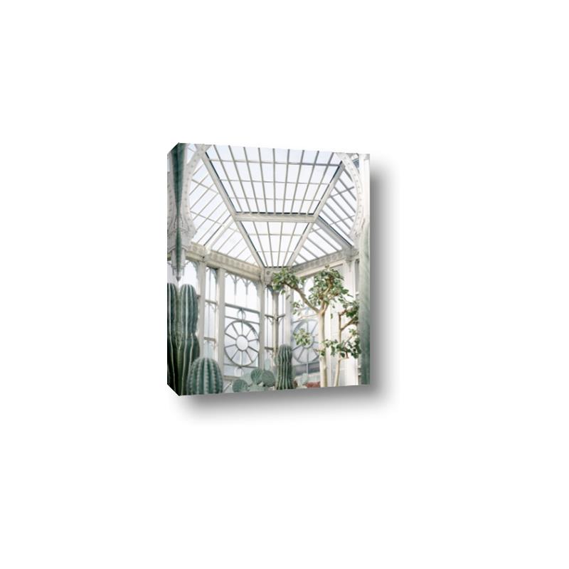 Picture of Tropical Greenhouse lll _GroupedProduct_Rectangle_Portrait_Photography _GroupedProduct_Rectangle_Portrait_Canvas_