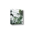 Picture of Tropical Greenhouse ll _GroupedProduct_Rectangle_Portrait_Photography _GroupedProduct_Rectangle_Portrait_Canvas_
