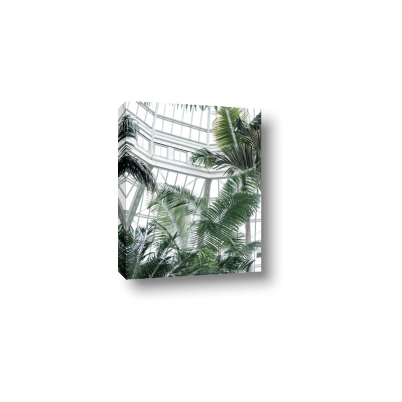 Picture of Tropical Greenhouse ll _GroupedProduct_Rectangle_Portrait_Photography _GroupedProduct_Rectangle_Portrait_Canvas_