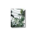 Picture of Tropical Greenhouse ll _GroupedProduct_Rectangle_Portrait_Photography _GroupedProduct_Rectangle_Portrait_Canvas_