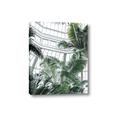 Picture of Tropical Greenhouse ll _GroupedProduct_Rectangle_Portrait_Photography _GroupedProduct_Rectangle_Portrait_Canvas_