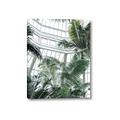 Picture of Tropical Greenhouse ll _GroupedProduct_Rectangle_Portrait_Photography _GroupedProduct_Rectangle_Portrait_Canvas_