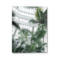 Picture of Tropical Greenhouse ll _GroupedProduct_Rectangle_Portrait_Photography _GroupedProduct_Rectangle_Portrait_Canvas_