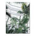 Picture of Tropical Greenhouse ll _GroupedProduct_Rectangle_Portrait_Photography _GroupedProduct_Rectangle_Portrait_Canvas_
