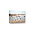 Picture of Fall Beach _GroupedProduct_Rectangle_Landscape_Photography _GroupedProduct_Rectangle_Landscape_Canvas_