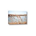 Picture of Fall Beach _GroupedProduct_Rectangle_Landscape_Photography _GroupedProduct_Rectangle_Landscape_Canvas_