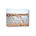 Picture of Fall Beach _GroupedProduct_Rectangle_Landscape_Photography _GroupedProduct_Rectangle_Landscape_Canvas_
