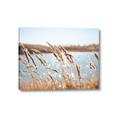 Picture of Fall Beach _GroupedProduct_Rectangle_Landscape_Photography _GroupedProduct_Rectangle_Landscape_Canvas_